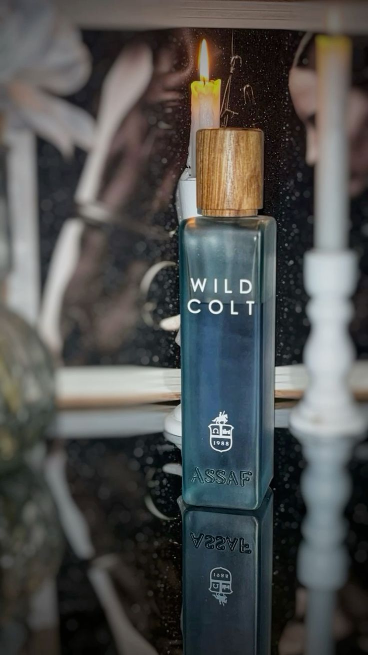 Assaf Wild + Gris Erik